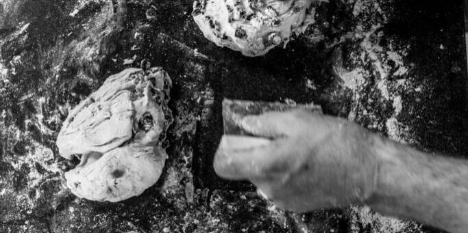 Martin bootsman Luscious loaf brood